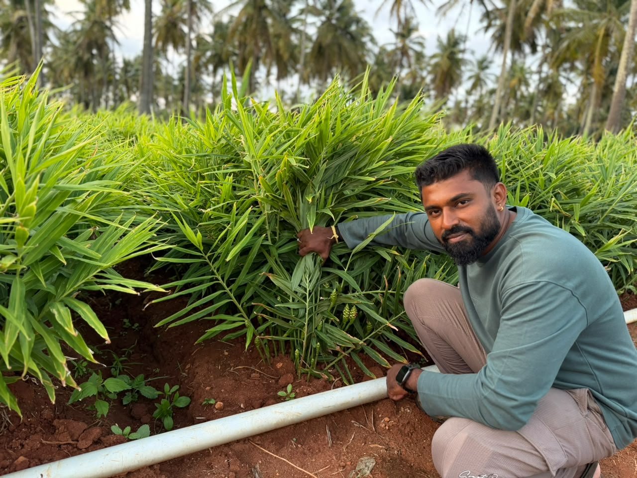 Bharathi Nexus Exim gallery photo 22